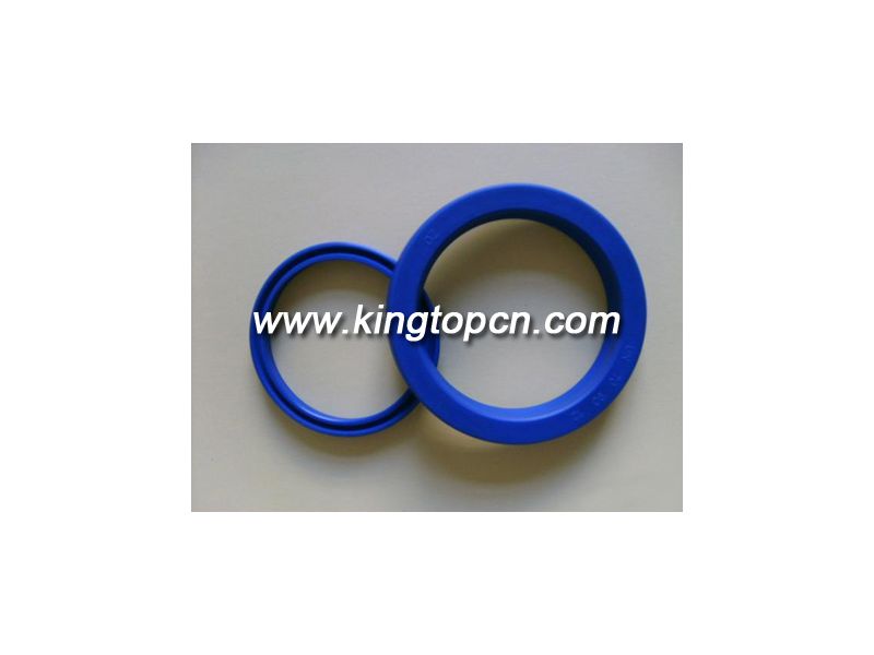 Hydraulic Seals D2