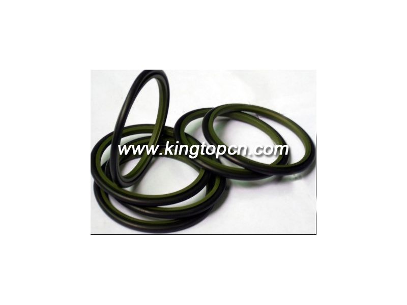 Hydraulic Seals BSJ  type