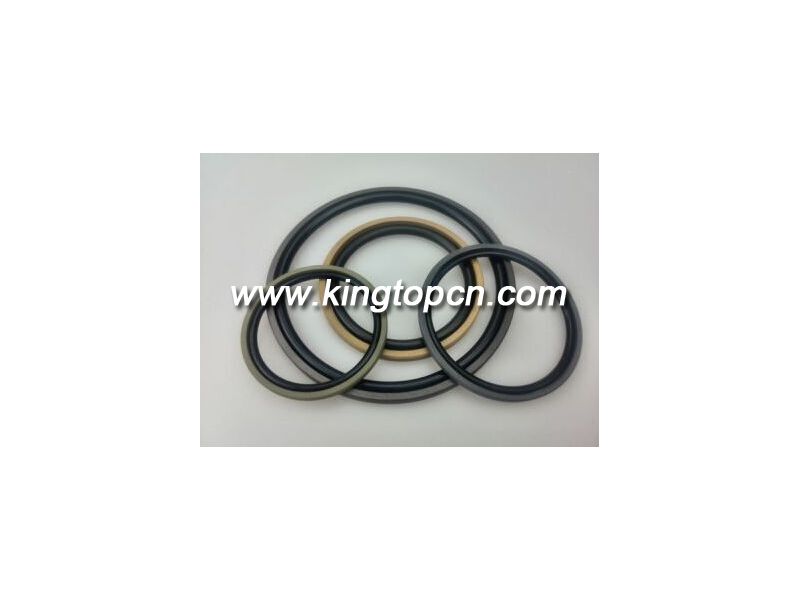 Hydraulic seal -GSD