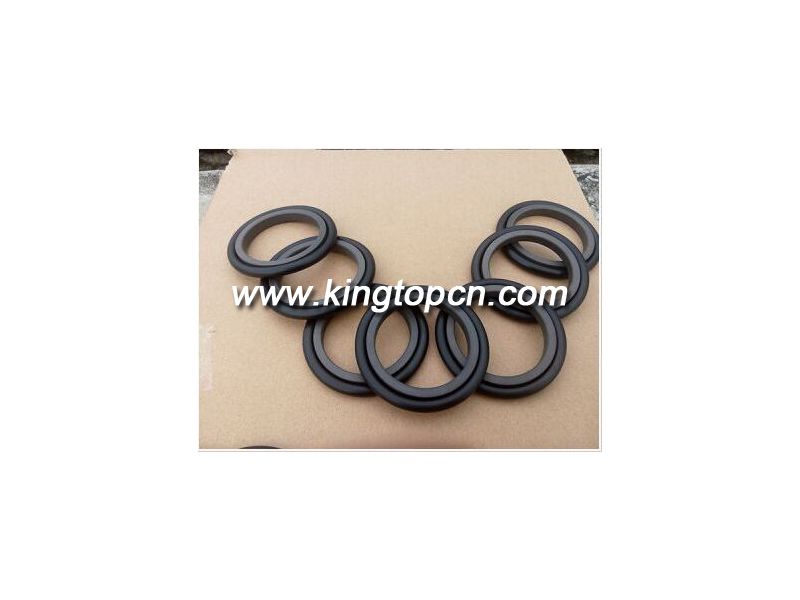 hydraulic rod seal GSI