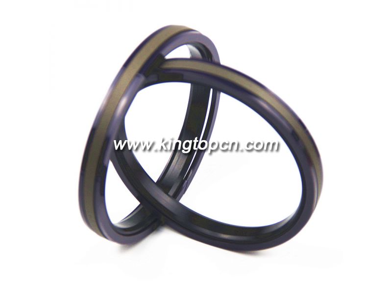 SPGW  piston seal 