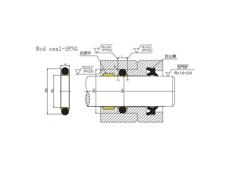 SPNG rod compact seal 