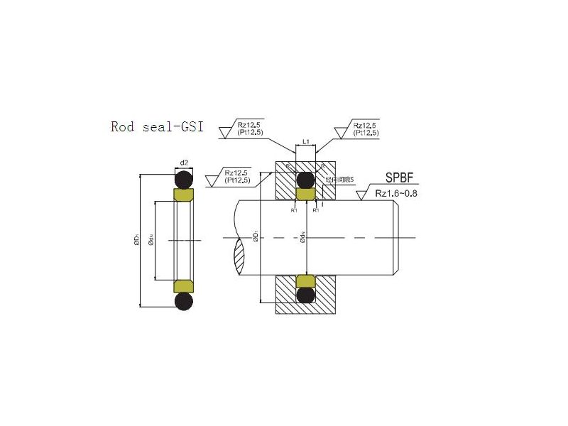 GSI rod compact seal 