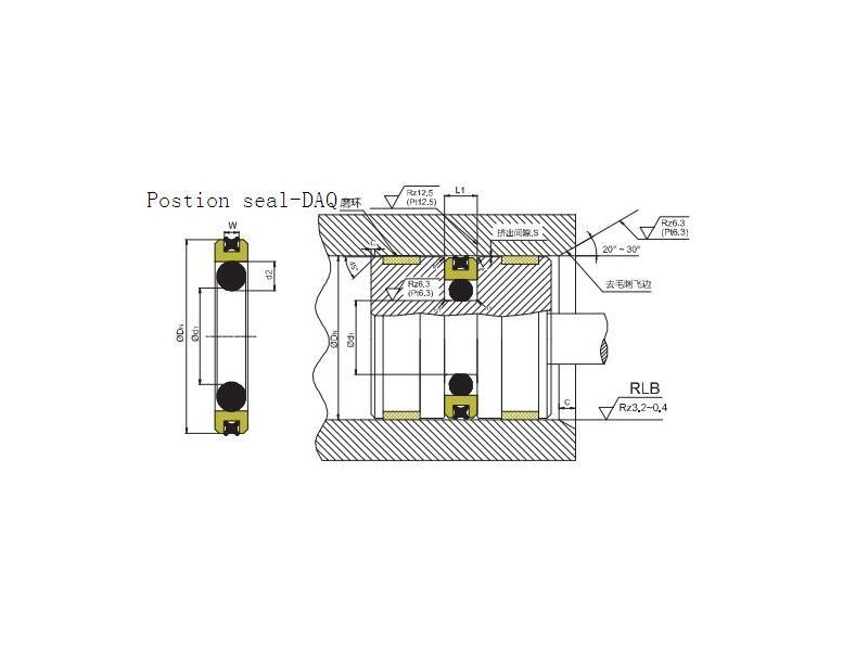 DAQ Piston compact seal 