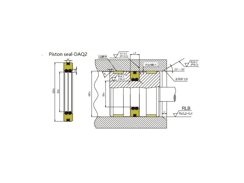 DAQ2  piston compact seal 