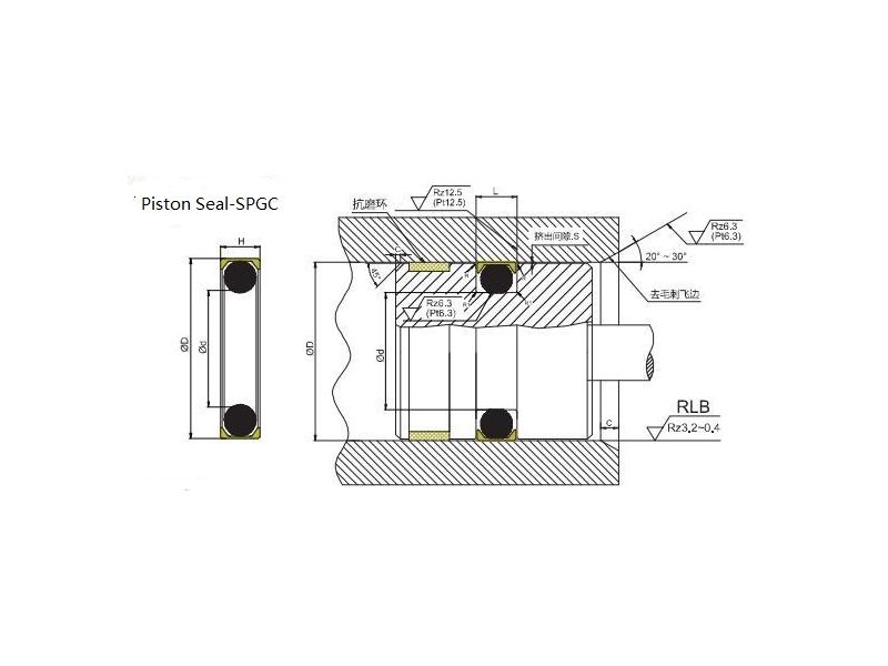 SPGC Piston seal 