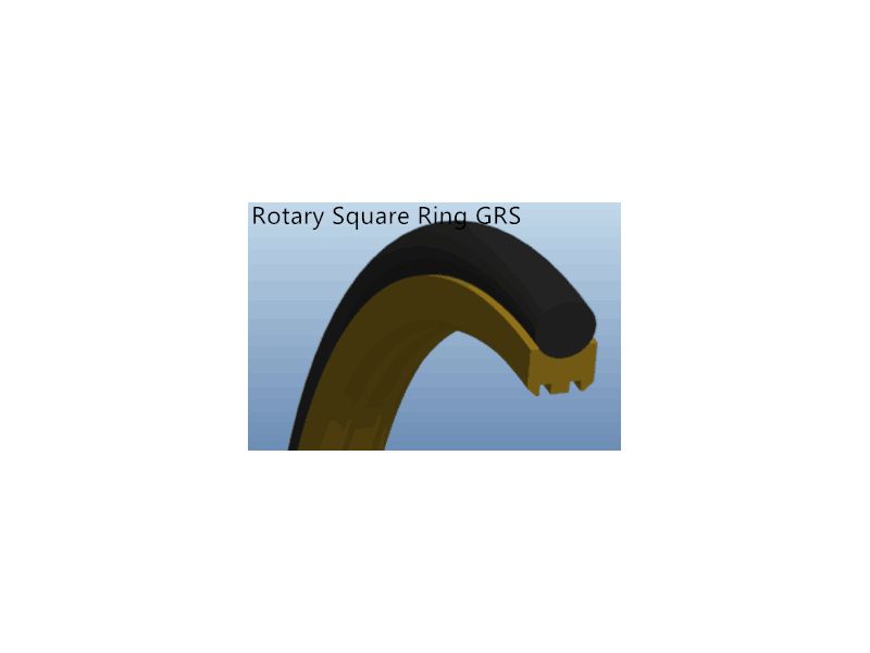 Rotary square ring GRS