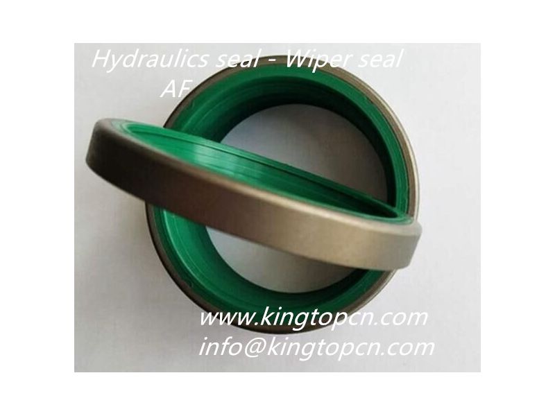 Hydraulics seal -Wiper seal 