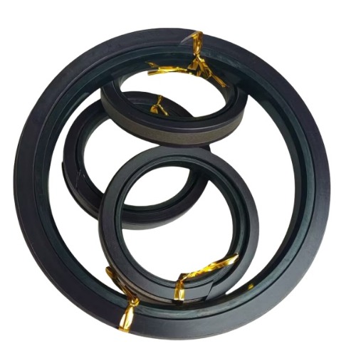 SPGW  piston compact  seal 